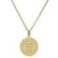 Cornell 14K Gold Pendant & Chain Shot #2