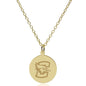 Creighton 18K Gold Pendant & Chain Shot #2