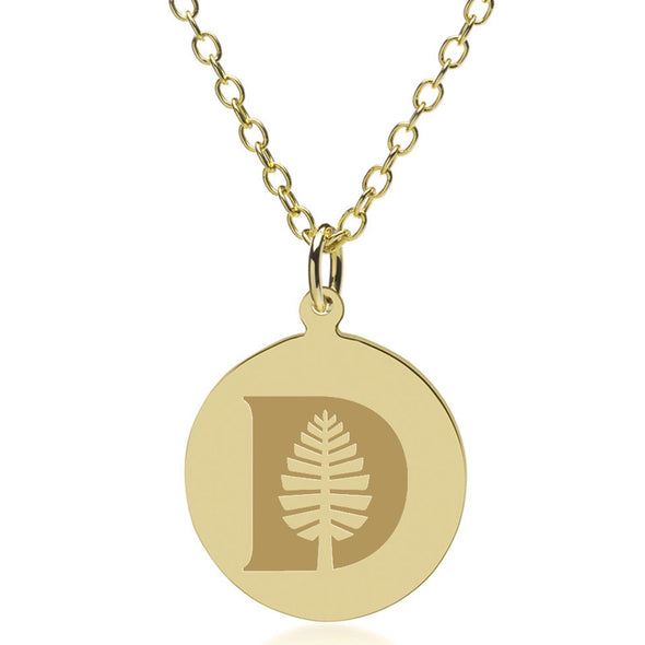 Dartmouth 14K Gold Pendant & Chain Shot #1