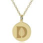 Dartmouth 14K Gold Pendant & Chain Shot #1