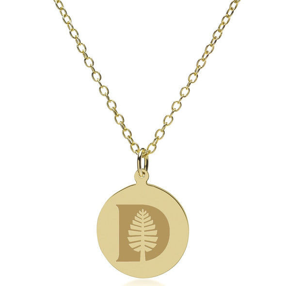 Dartmouth 14K Gold Pendant & Chain Shot #2
