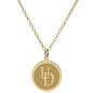 Delaware 18K Gold Pendant & Chain Shot #2