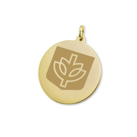 DePaul 14K Gold Charm Shot #1