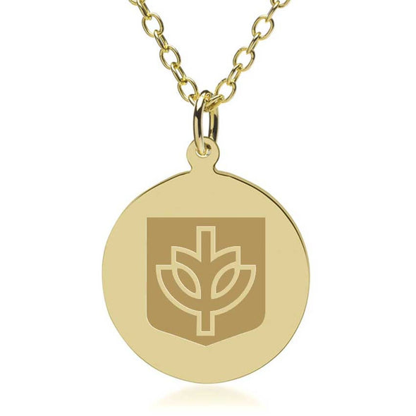 DePaul 14K Gold Pendant & Chain Shot #1