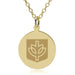 DePaul 14K Gold Pendant & Chain