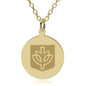 DePaul 14K Gold Pendant & Chain Shot #1