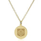 DePaul 14K Gold Pendant & Chain Shot #2