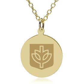 DePaul 18K Gold Pendant & Chain Shot #1