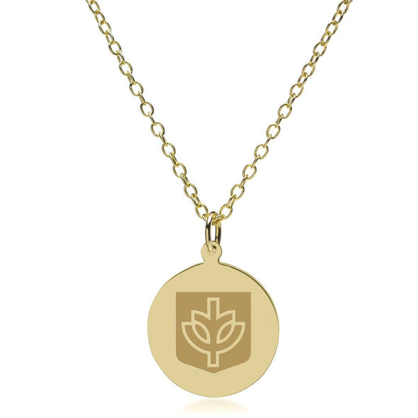 DePaul 18K Gold Pendant & Chain Shot #2