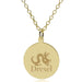 Drexel 14K Gold Pendant & Chain