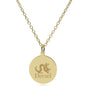 Drexel 18K Gold Pendant & Chain Shot #2
