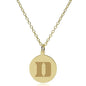 Duke 14K Gold Pendant & Chain Shot #1