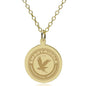 ERAU 14K Gold Pendant & Chain Shot #1