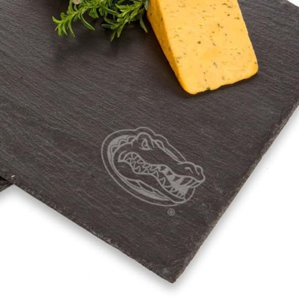 Florida Gators Slate Server Shot #2