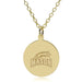 George Mason 14K Gold Pendant & Chain
