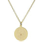 Georgetown 14K Gold Pendant & Chain Shot #2