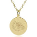 Gonzaga 14K Gold Pendant & Chain