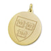 Harvard 14K Gold Charm