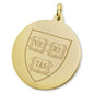 Harvard 14K Gold Charm Shot #2