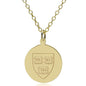 Harvard 14K Gold Pendant & Chain Shot #1