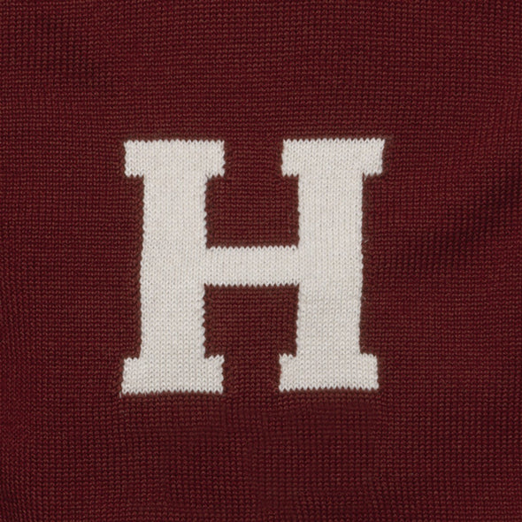 Harvard Maroon and Ivory Letter Sweater by M.LaHart Shot #2