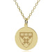 HBS 14K Gold Pendant & Chain