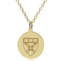 HBS 14K Gold Pendant & Chain Shot #1