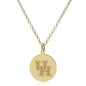 Houston 14K Gold Pendant & Chain Shot #2