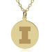 Illinois 18K Gold Pendant & Chain