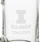 Illinois 25 oz Beer Mug Shot #3