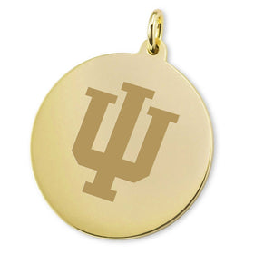 Indiana 14K Gold Charm Shot #1