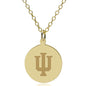 Indiana 14K Gold Pendant & Chain Shot #1