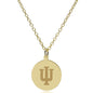 Indiana 14K Gold Pendant & Chain Shot #2