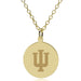 Indiana 18K Gold Pendant & Chain