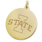 Iowa State 14K Gold Charm Shot #2