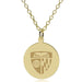 Johns Hopkins 14K Gold Pendant & Chain