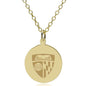 Johns Hopkins 14K Gold Pendant & Chain Shot #1
