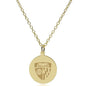 Johns Hopkins 14K Gold Pendant & Chain Shot #2