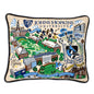 Johns Hopkins Embroidered Pillow Shot #1