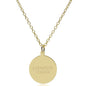 Lafayette 14K Gold Pendant & Chain Shot #2