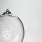 Lehigh Glass Ornament by Simon Pearce Shot #2