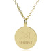 Marist 14K Gold Pendant & Chain