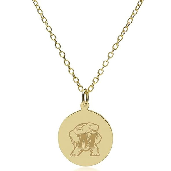 Maryland 14K Gold Pendant & Chain Shot #2