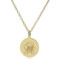 Maryland 14K Gold Pendant & Chain Shot #2