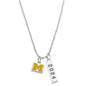 Michigan Class Year Sterling Silver Necklace Shot #2