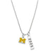 Michigan Class Year Sterling Silver Necklace