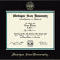 Michigan State Diploma Frame, the Fidelitas Shot #2