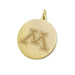 Minnesota 14K Gold Charm