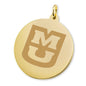 Missouri 14K Gold Charm Shot #2