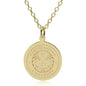Northeastern 14K Gold Pendant & Chain Shot #2